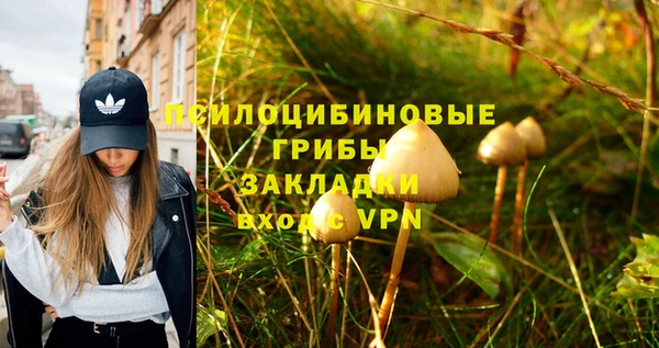 твердый Горно-Алтайск