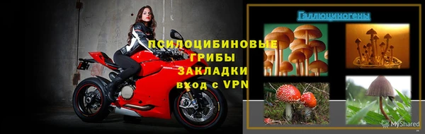 spice Горняк