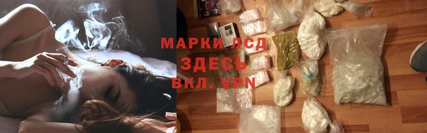 spice Горняк