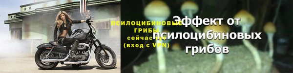 твердый Горно-Алтайск