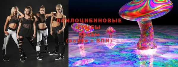 spice Горняк