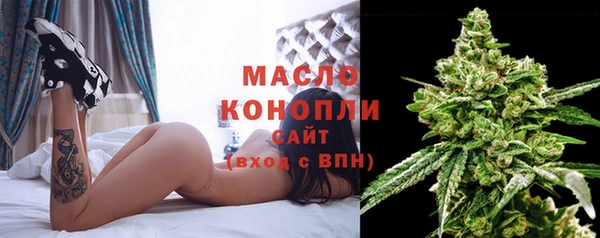 spice Горняк
